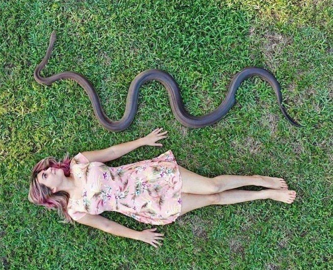 ShadowUg01's tweet photo. The animal in them https://t.co/SMFMoHuz9n