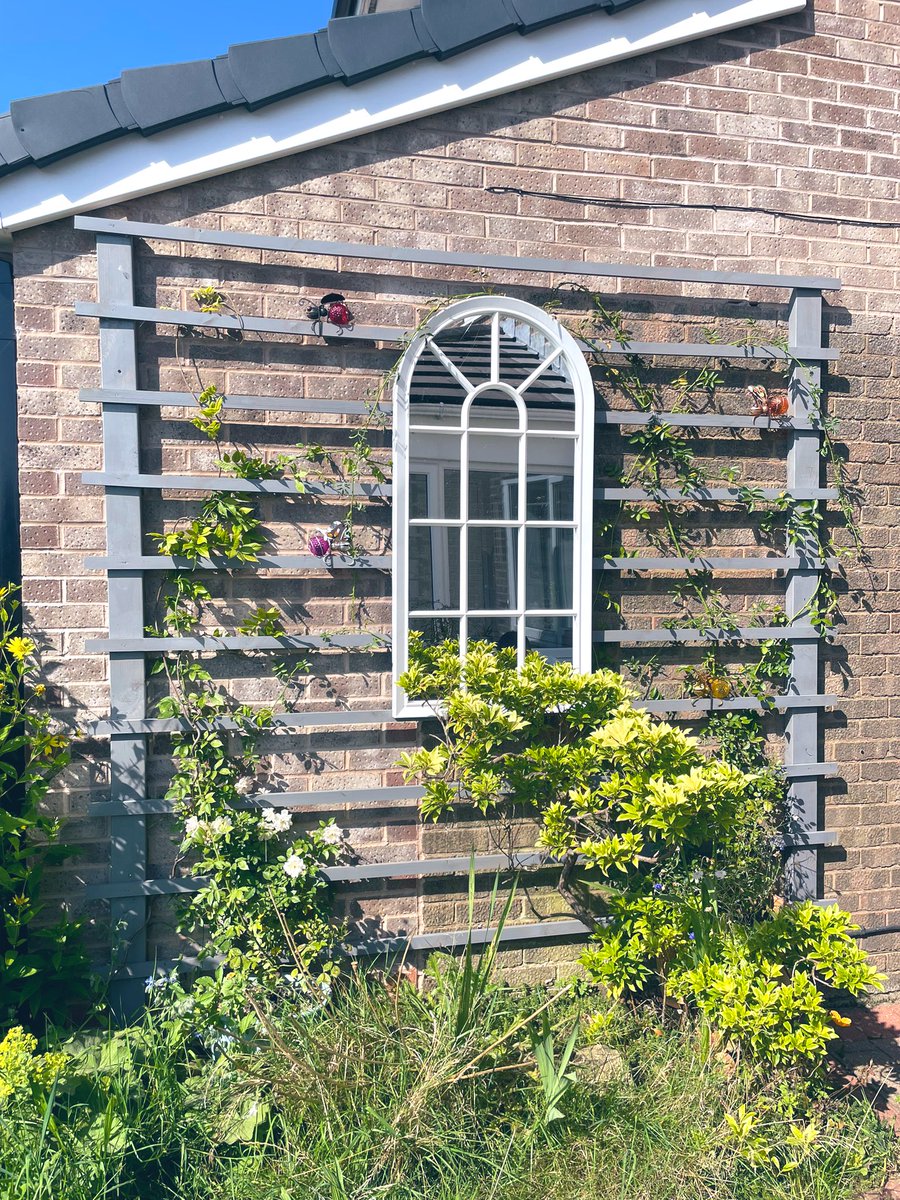 Miles with Michelle tweet media