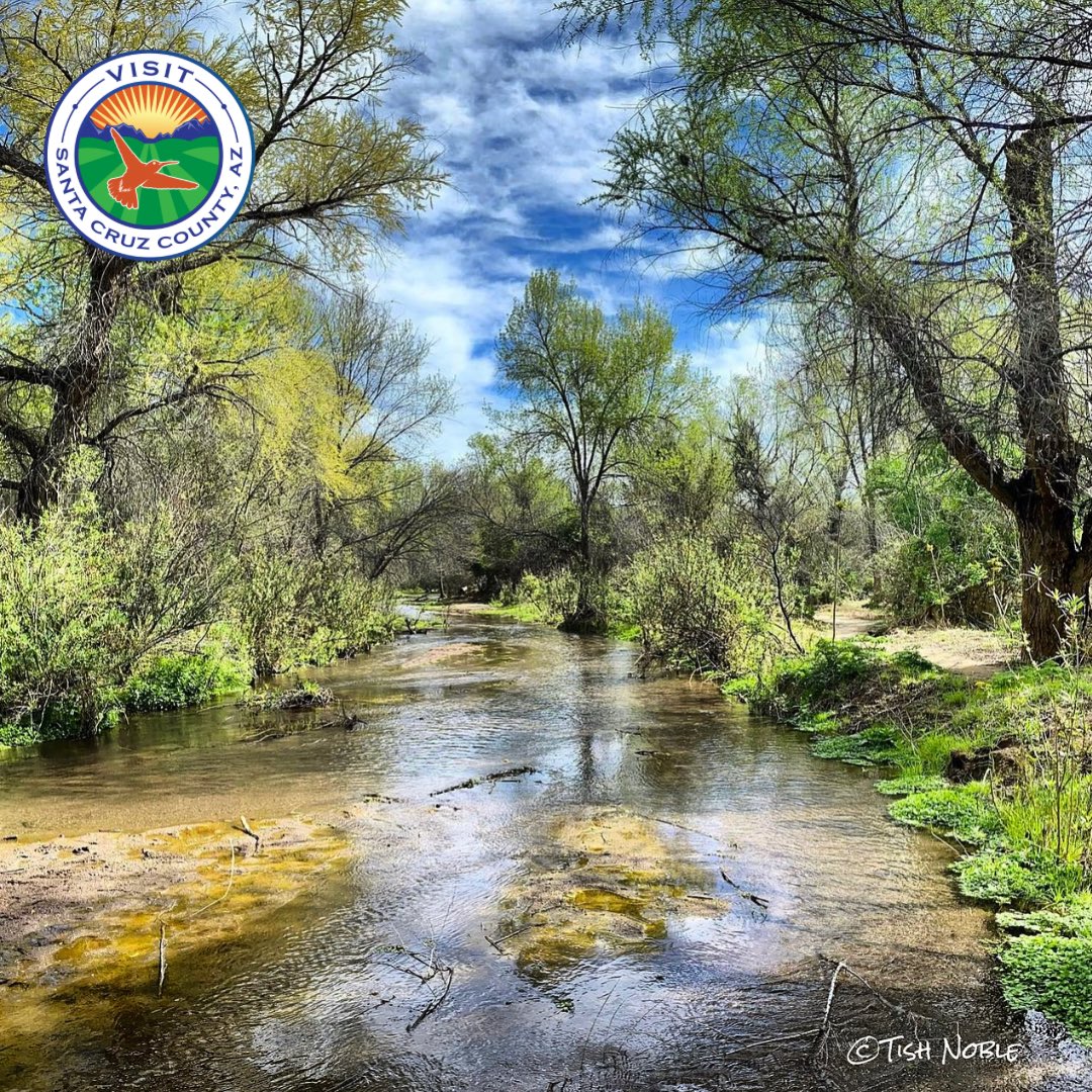 Explore nature's wonders, one step at a time. Spend your weekend on a hiking adventure immersed in lush, beautiful nature! 🌿🥾

#EscapeToSantaCruzCounty #WeekendWarrior #WeekendAdventure #GetOutsideAZ #SummerTravel2023