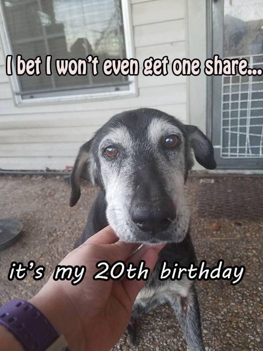 Today is my birthday hope I get some love here