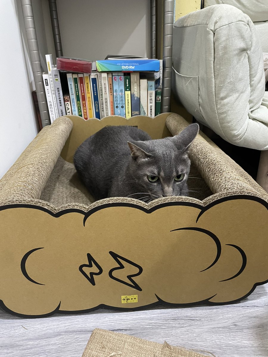 Kate Lin tweet media