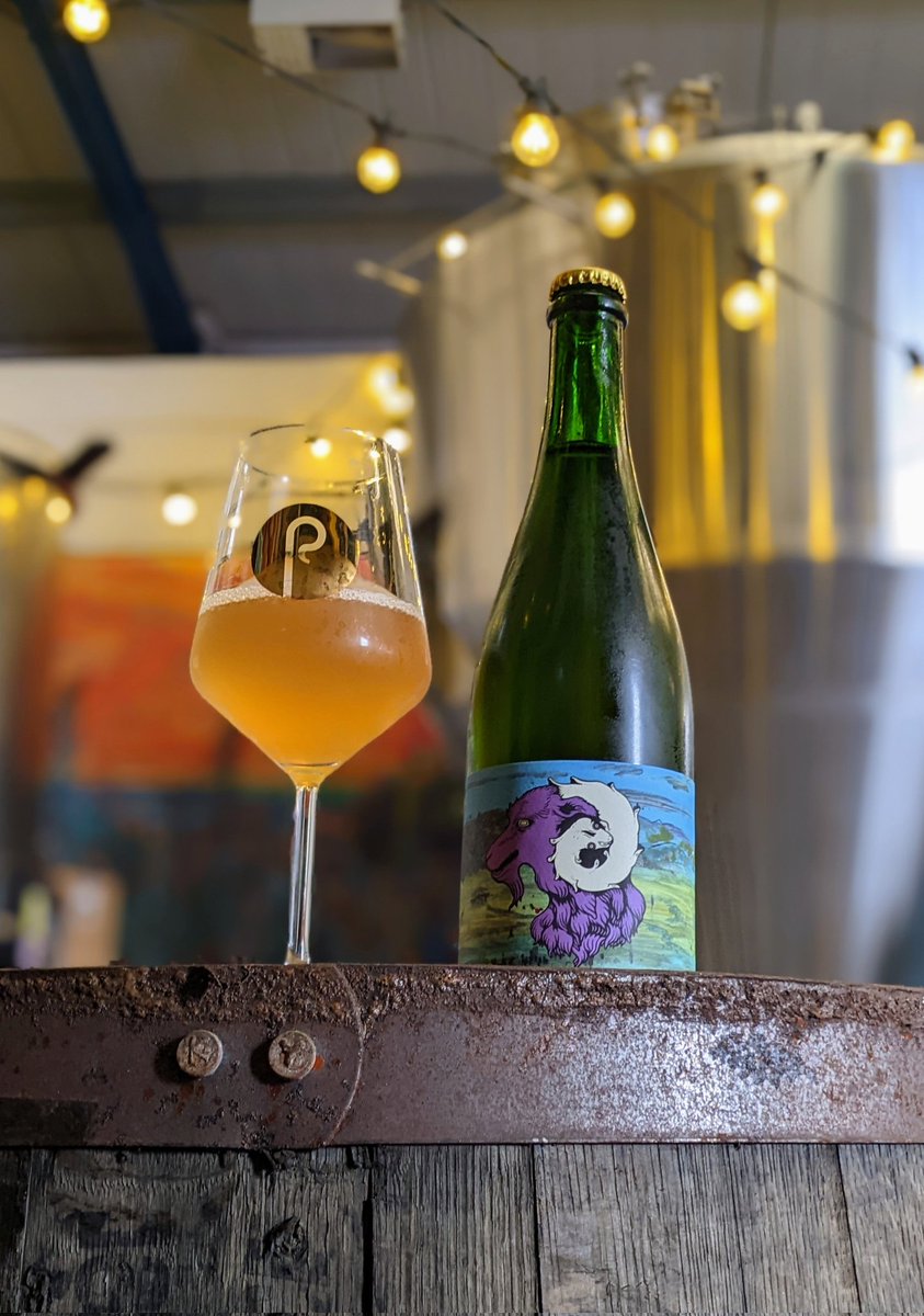 Bob Chell tweet media