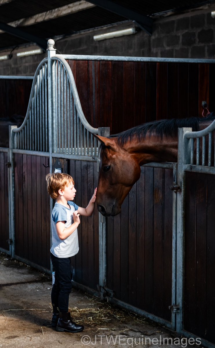 #NationalRacehorseWeek kicked off today @G_G_Racing; seen here is a young boy having a moment of quiet reflection with Go On Chez, during the stable visit this morning. 

©️Jack Williams / JTW Equine Images.