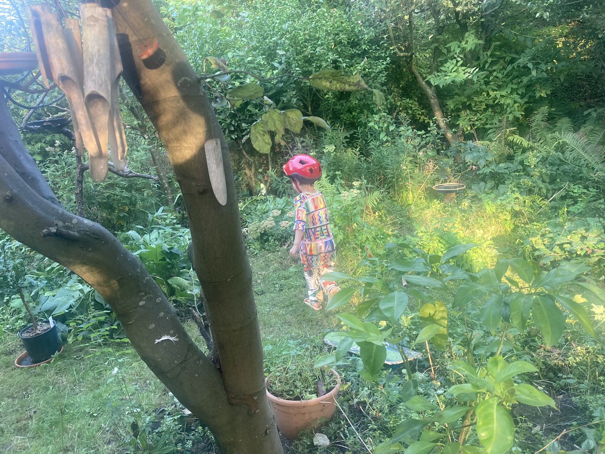 rinibiemans's tweet photo. #volkstuin is geweldig zeker met mensen erin die ook nog helpen en die je al een hele tijd kent #vrienden #growinguptogether kinderen in de natuur zijn goed voor de biodiversiteit… Wat vinden jullie van deze stelling? https://t.co/uYjmAPRFvK