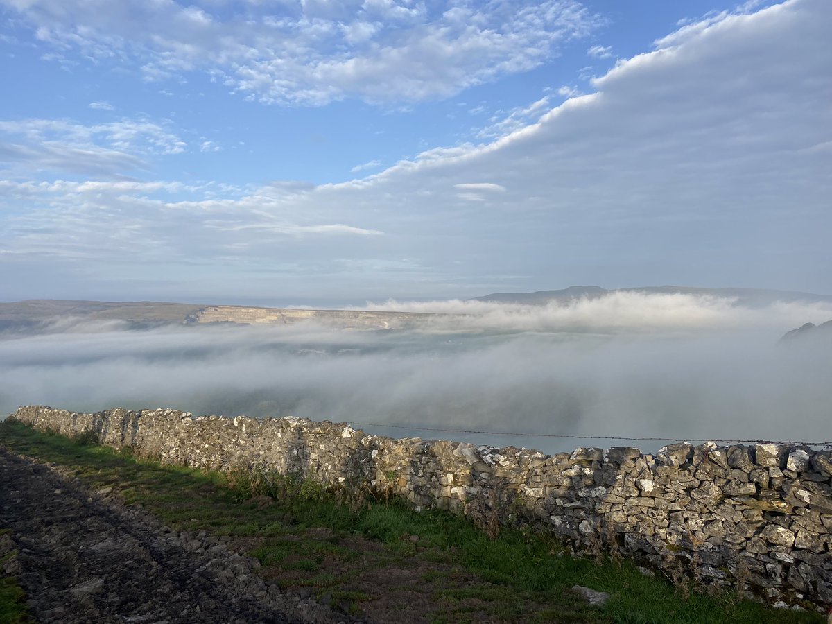 Catherine Jowitt tweet media