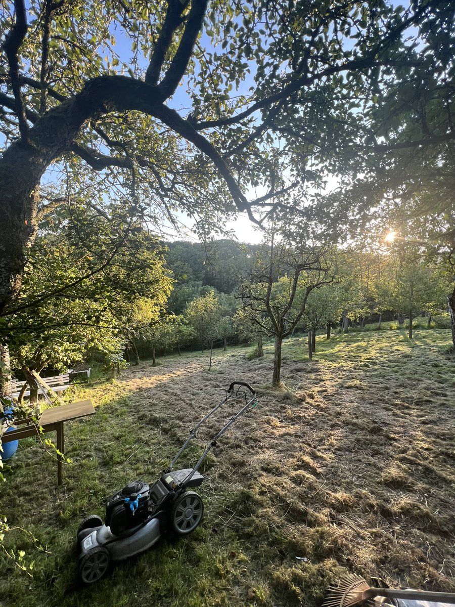 Dinko Eror tweet media