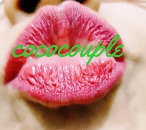 cococouple2022's tweet photo. jub jub to everybody .lets meet 3some
@RatnaSwg 
@DPCoupleSWG01
@HinodeMatsumoto
@SwgTick
@swayuttaya3
@Pattaya3some_2
@agkNE9ZApuRydDK
@aek5515
@KatieBr06220518 
@EmPattaya https://t.co/FlIiRVTeRD