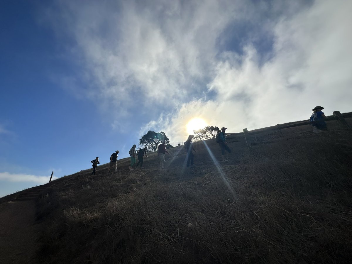 walksf's tweet photo. Ascending! So many peaks in our 7x7 city…
#Peak2PeakSF #IWalkSF https://t.co/3kdqOzIqpc