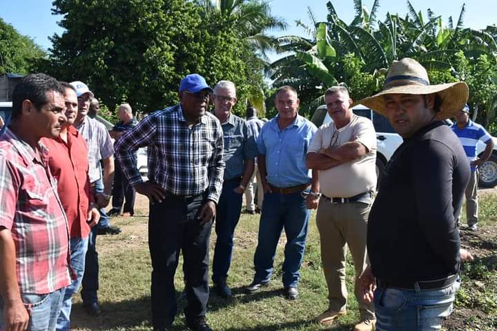 AlbertoLopezcu's tweet photo. En la finca La Piedra, de la CCS Conrado Benitez,@SalvadorValdesM compartió con el joven productor David Benavides, uno de los productores mas destacados de la zona. Este campesino cuenta con 35 ha destinadas a los cultivos varios principalmente  yuca, boniato, col y maíz. https://t.co/IXbjUgvVje