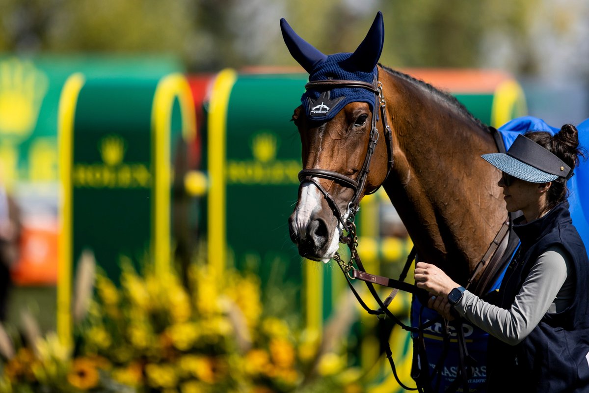 Rolex Grand Slam tweet media