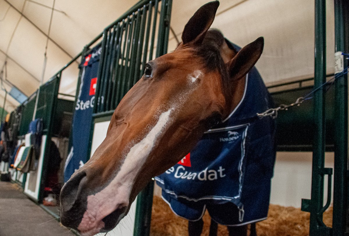 Spruce Meadows 'Masters' creates an ambiance that feels like pure equestrian magic. 🇨🇦

📸 Rolex Grand Slam / Ashley Neuhof
📸 Spruce Meadows Media 
<a href="/Spruce_Meadows/">Spruce Meadows</a> 
#JumpIntoHistory #RolexGrandSlam  #SpruceMeadows #sprucemeadowsmasters