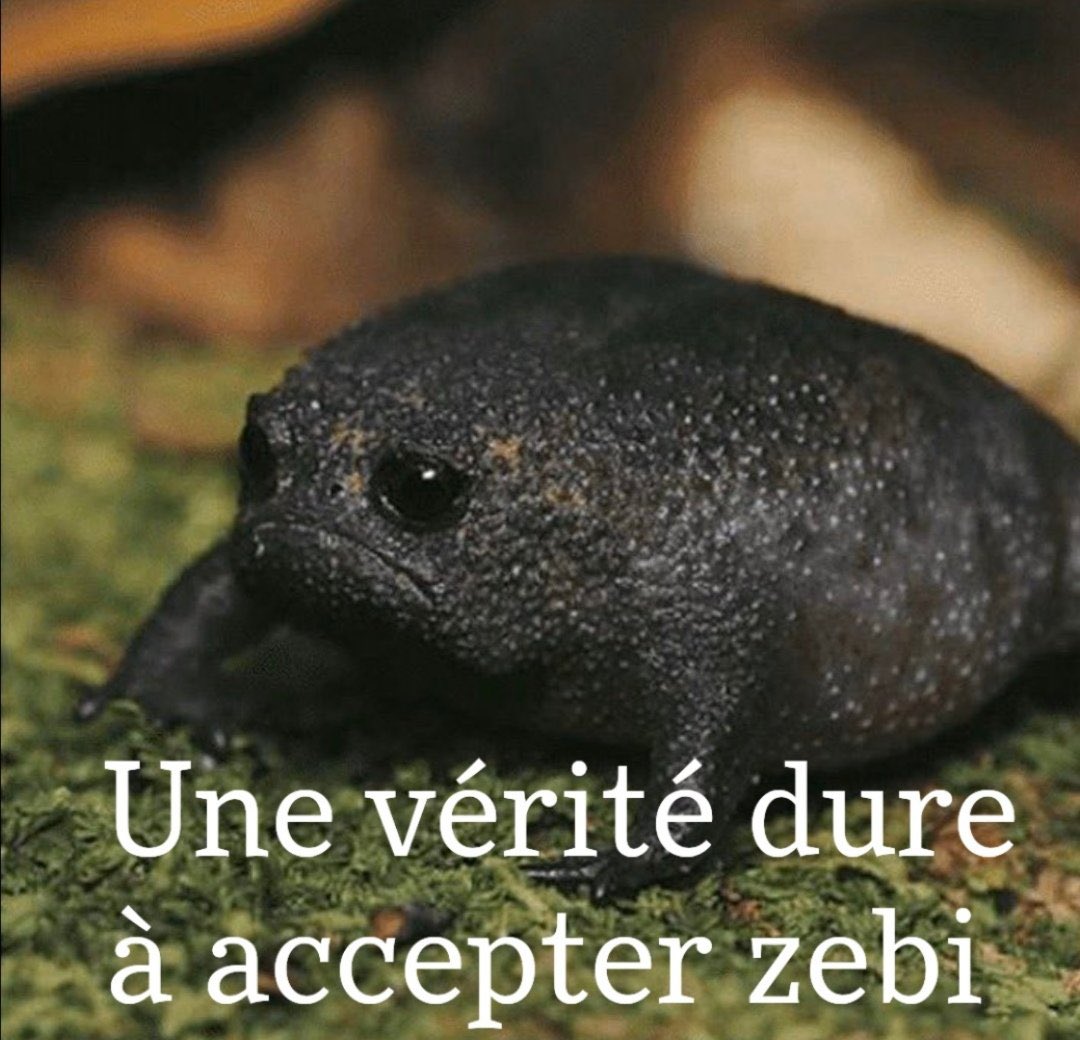 AxelHache77's tweet photo. @djilsi fini derrière @Gotaga https://t.co/cqnP0vcPqV