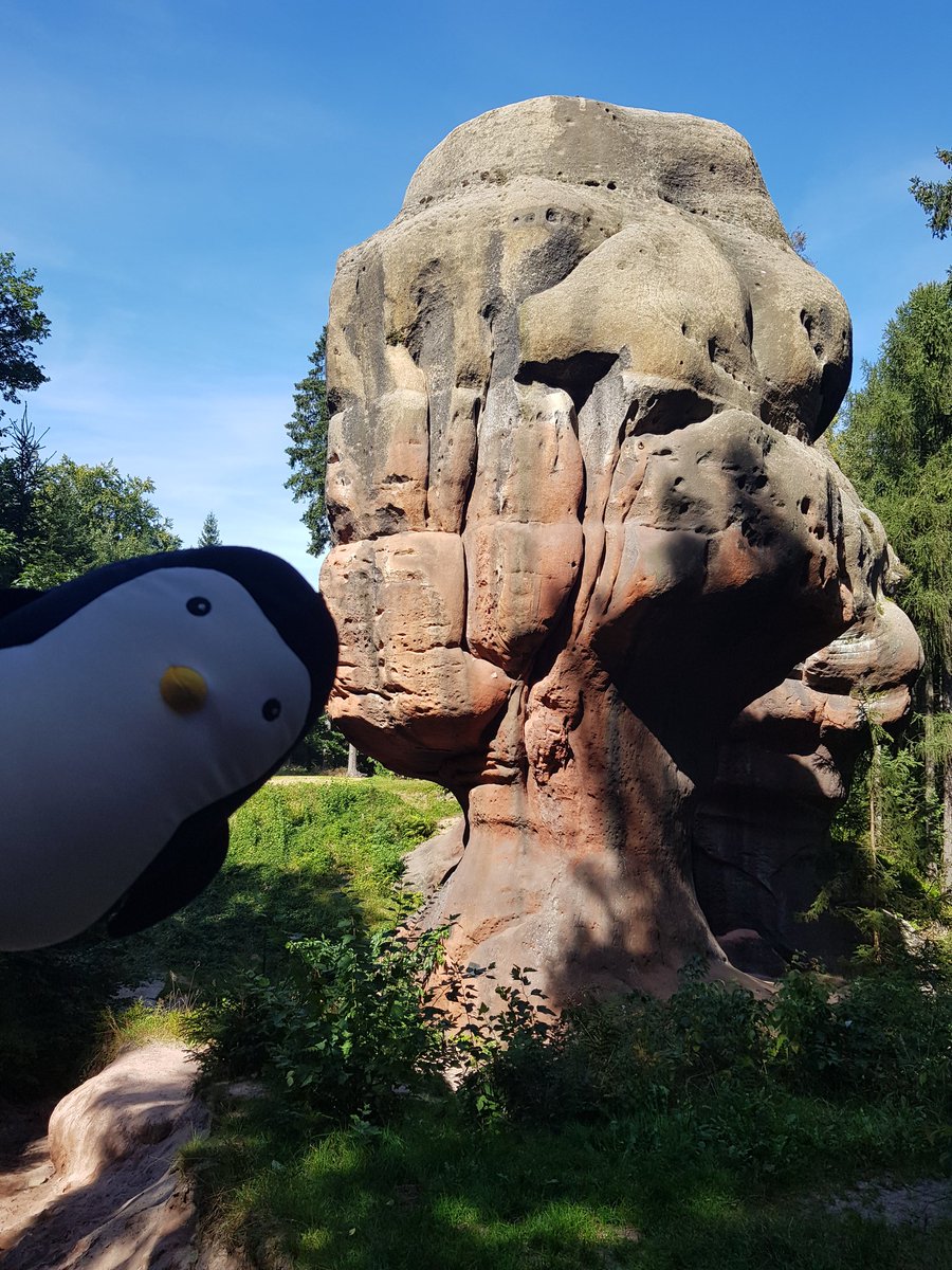 PinguinFridolin's tweet photo. #Kelchsteine #Oybin #Hiking #Summer https://t.co/dp4gvNSo8E