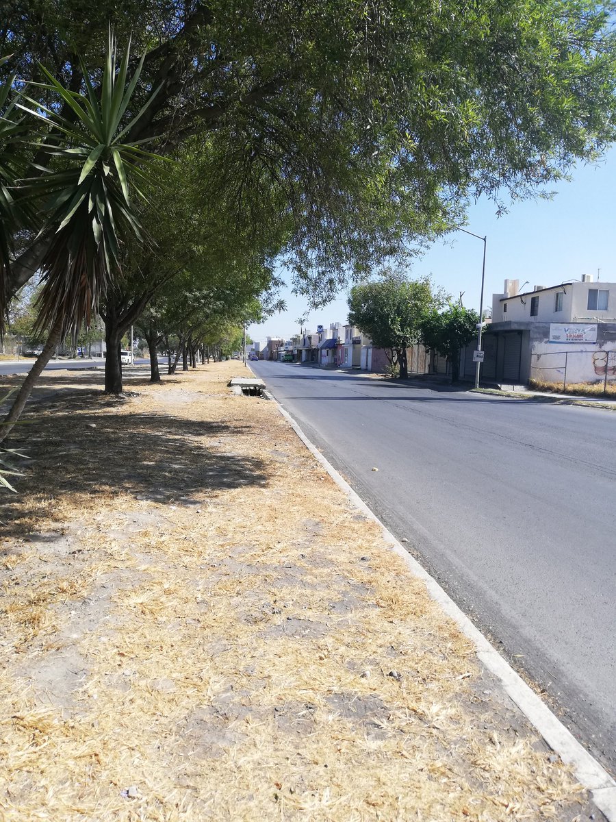 ApodacaNuevo's tweet photo. Continúa sin riego camellón calle Honduras y Jamaica colonia Andana Apodaca @Cicmty @ApodacaOficial @cesargarzav #cesargarza @StacLinea @telediariomty https://t.co/ksjOXgQyCG