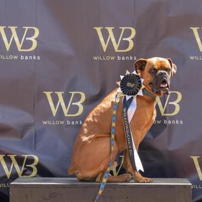 Lesley Wheatley tweet media