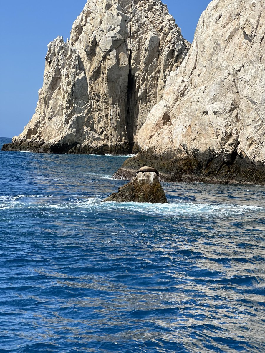 hasanabi tweet media