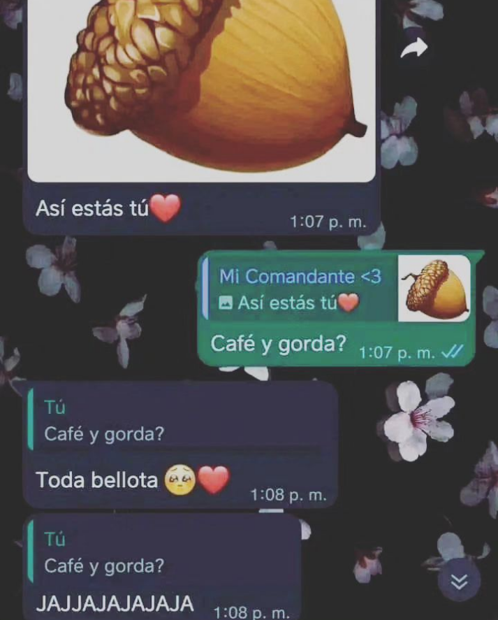 memez_van's tweet photo. #Bellota #Chat #WhatsApp #Café #Gorda https://t.co/1ZtNv28IzW