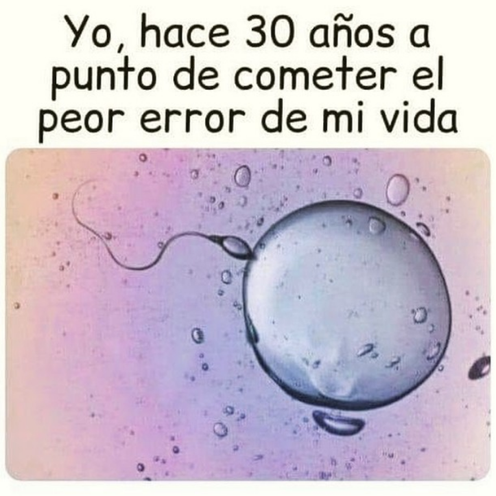 memez_van's tweet photo. #Error #PeorError #Espermatozoide #Óvulo #Vida #Cometer https://t.co/fyWcNCB3xg