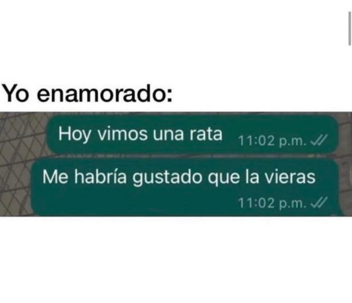 memez_van's tweet photo. #Enamorar #Rata #Ver #Chat #WhatsApp #Deseo https://t.co/xbeLXxWxig