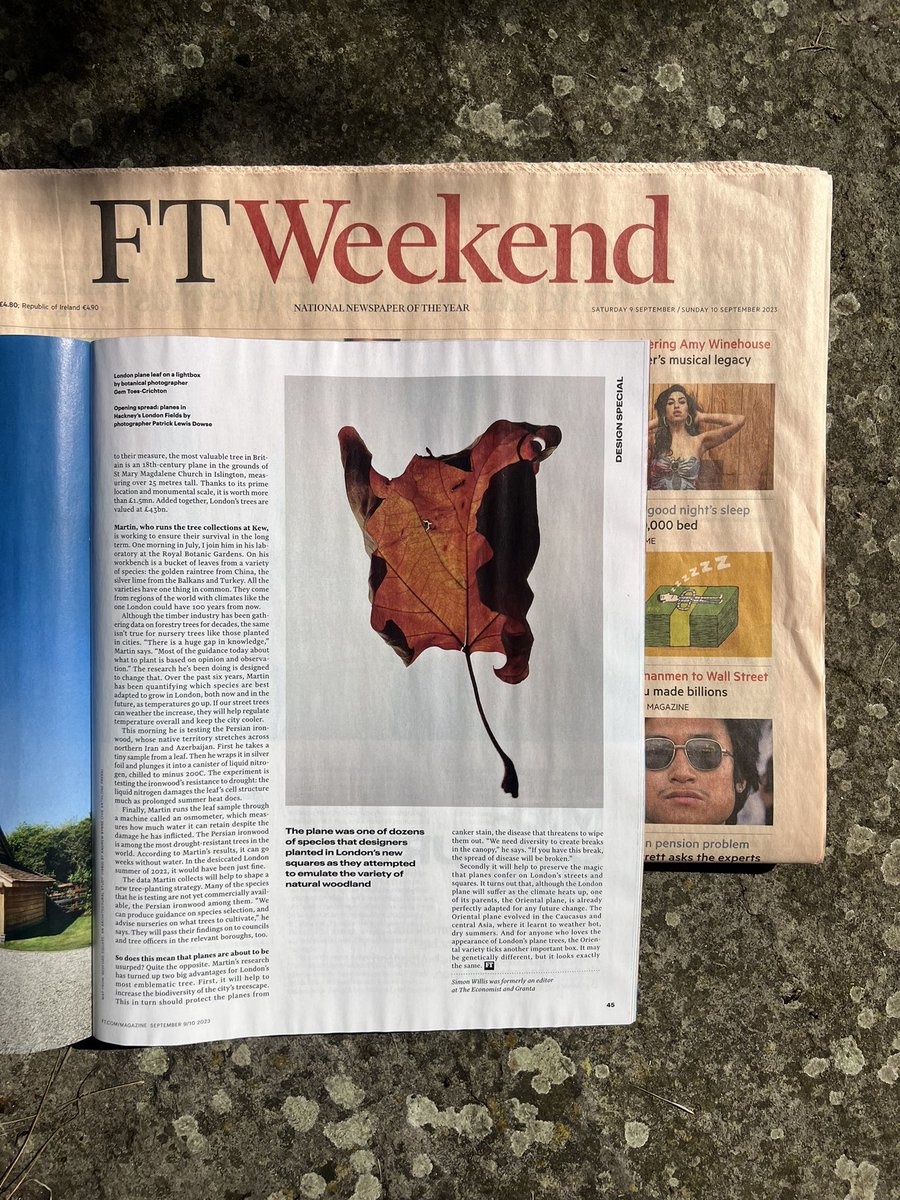 gemblina's tweet photo. It was a real privilege to see my images alongside such an important and moving article in the @ftweekend today.
(A huge thank-you to @emmalbowkett for featuring my work as part of this story. 🙏🏻 )
#londonplane #londonplanetree #platanusxhispanica #ftmag
🧵 1/2 https://t.co/Enp3RxsM0C