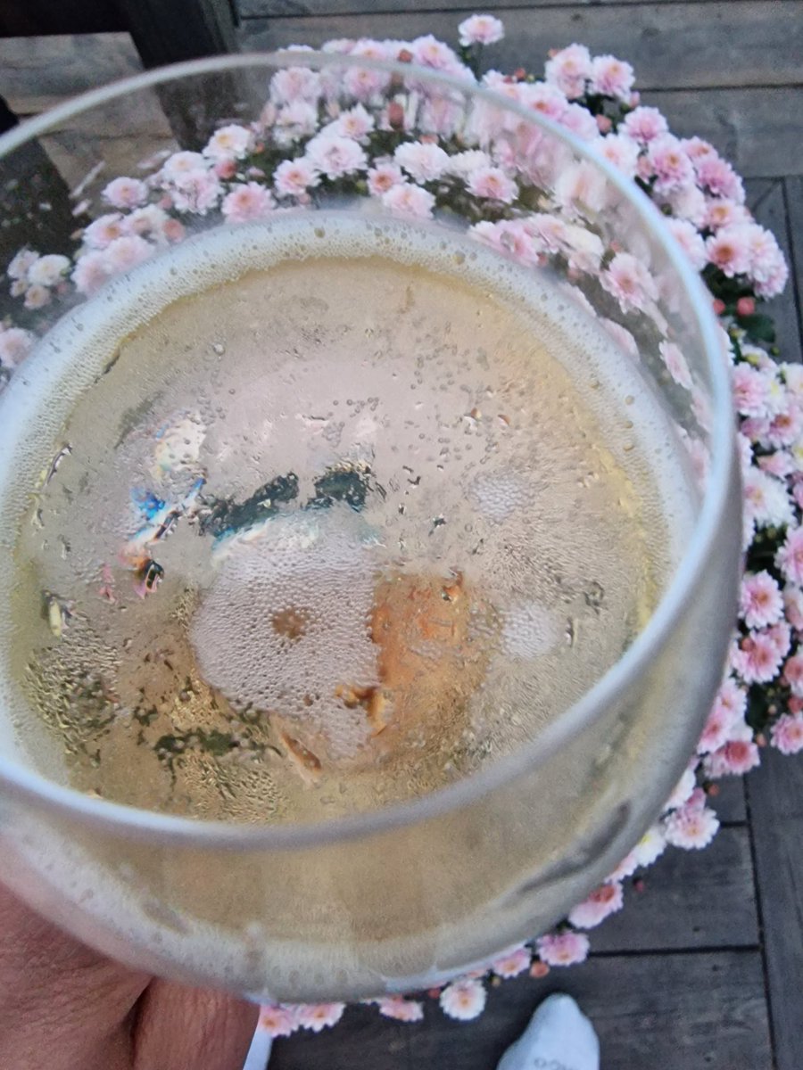 Frippa MUFC #20 tweet media