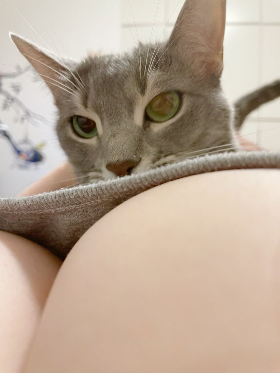 空闲时间，给大家看看我咪咪，它眼镜会变色哦~是不是很可爱呀🥰🥰🥰