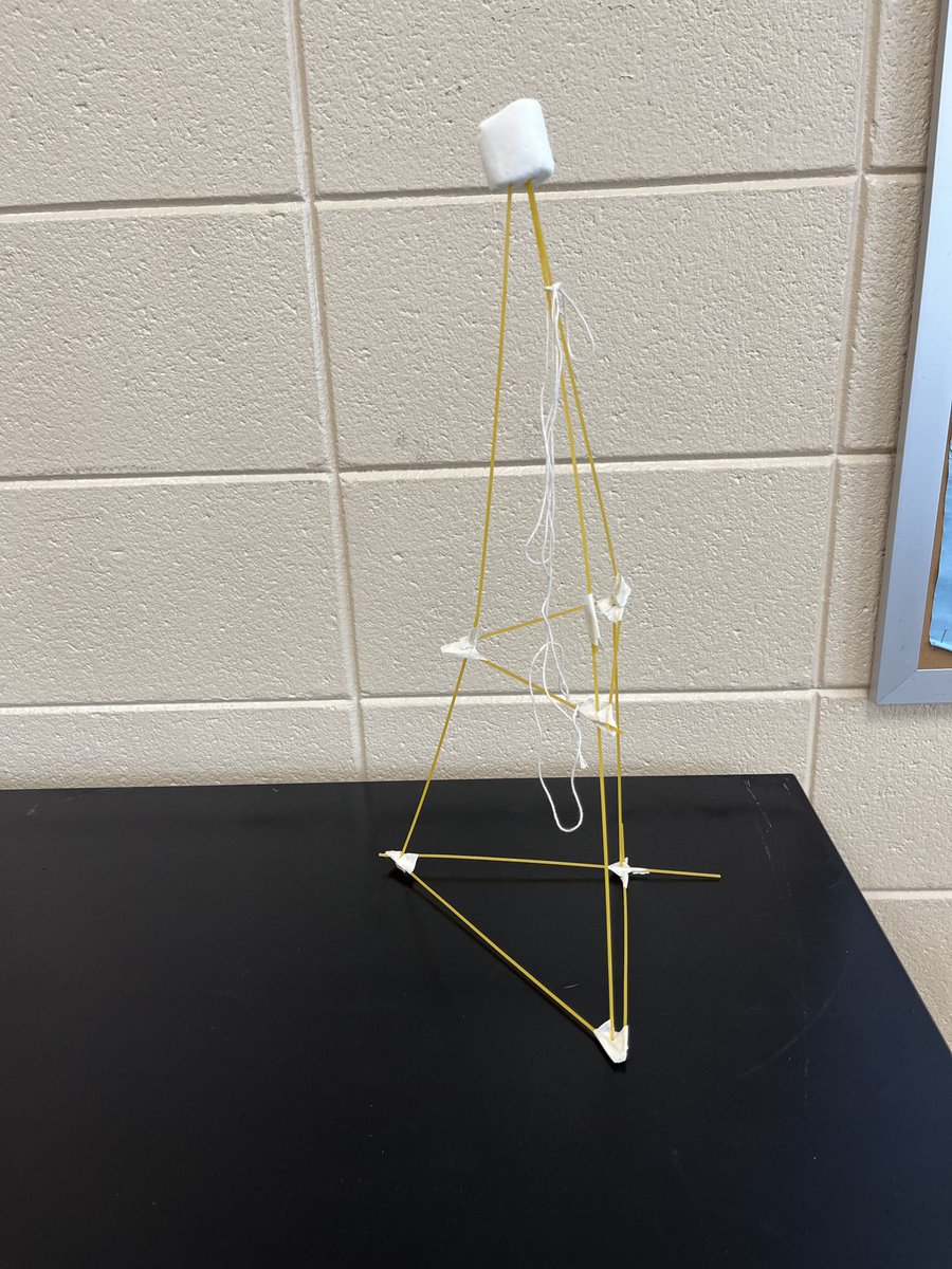 pnearyLRHS's tweet photo. Some great designs! ⁦@hcpss_lrhs⁩ ⁦@OfficialNGSS⁩ https://t.co/fvhmmZpIuD