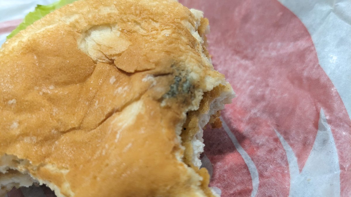 .<a href="/Wendys/">Wendy’s</a> MOLD is on my bun! There's an INCH of mold on my crispy chicken sandwich that I just bought from the Wendy's at 3350 Shelby Lane in #Atlanta This is #disgusting <a href="/FultonHealth/">Fulton County Board of Health</a> <a href="/GaDPH/">GaDeptPublicHealth</a>