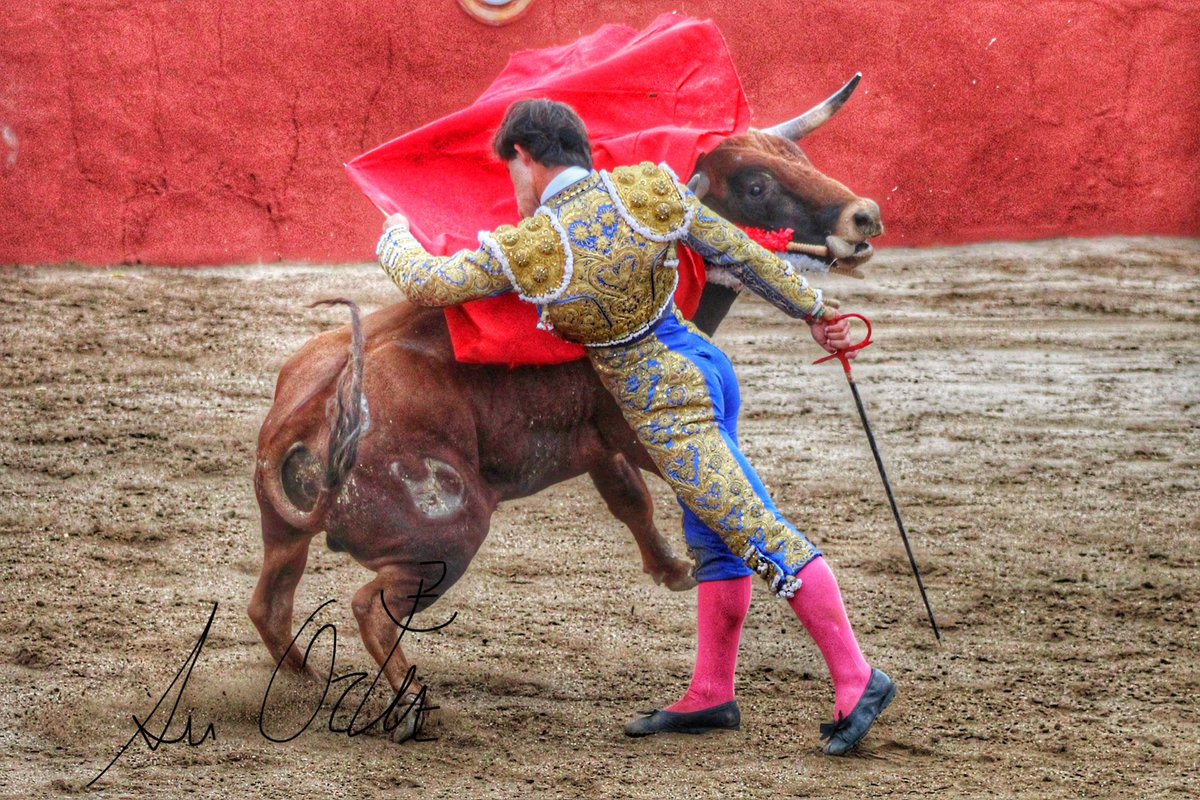 Sυ Oɾƚιȥ 🇪🇸 tweet media