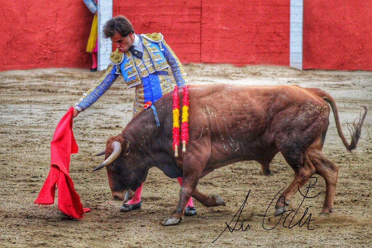 Sυ Oɾƚιȥ 🇪🇸 tweet media