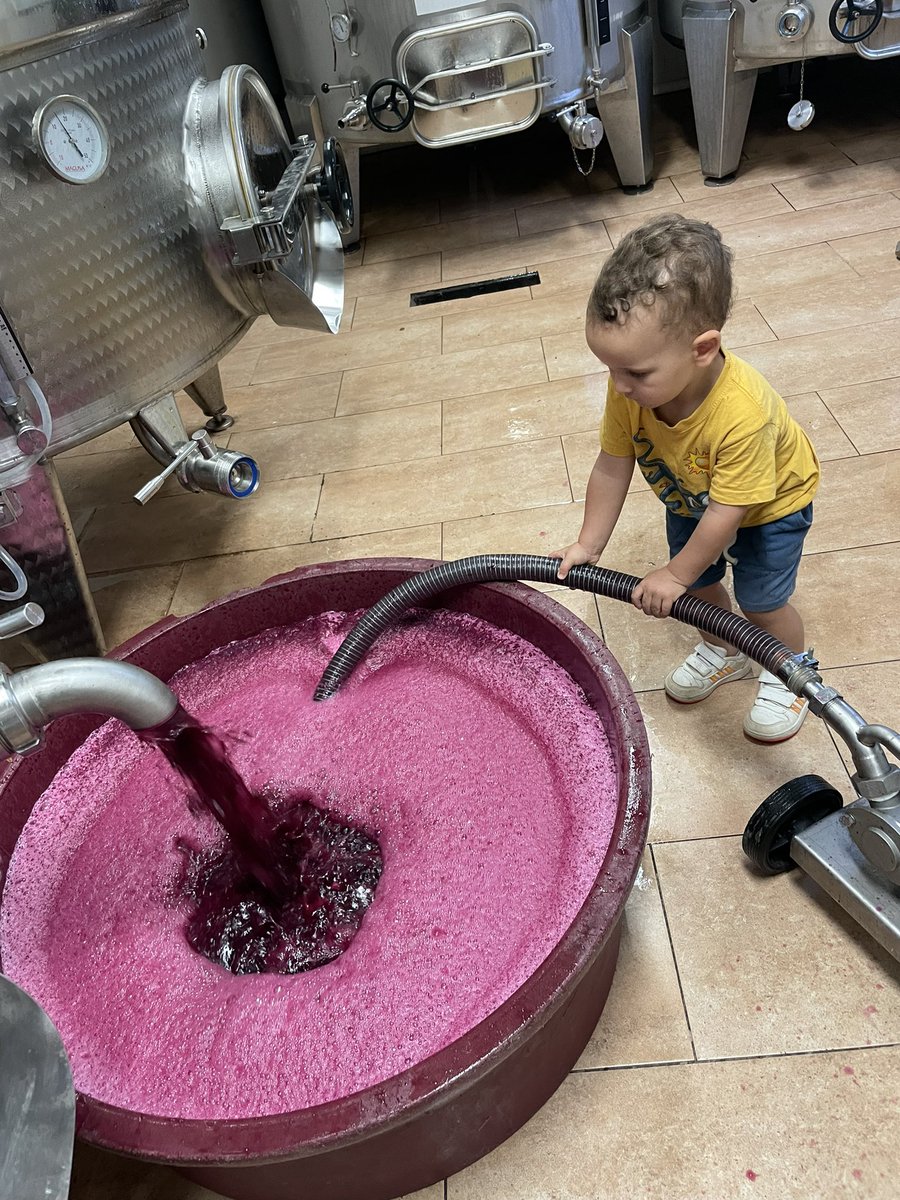 FincaMasPerdut's tweet photo. En Pol ja aprenent l’ofici! 😅😁 #bodeguero #masperdutlifestyle #santaoliva #baixpenedes #babyboy #polete #vinsambamor https://t.co/IPm81CP6pd