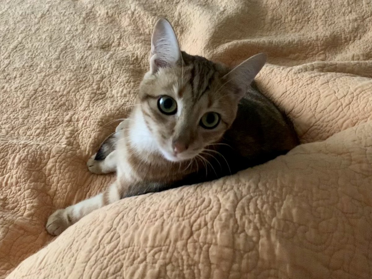 Tracie Coole tweet media