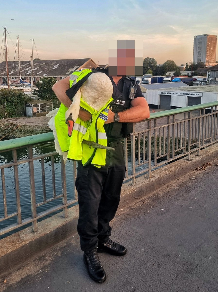 HantsPolRoads's tweet photo. Sometimes Policing is just like the movies. #HotFuzz We were deployed to reports of an escaped Swan in #Southampton. Unlike @simonpegg luck was on our side. 1 Swan safely captured &amp; returned to the river. #NewSkillUnlocked
#27526 #27312 https://t.co/1dPID1WI2b