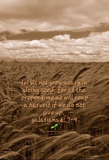 LeeAnn59705607's tweet photo. π±~ keep sowing brethren.
#embraceJesus https://t.co/SYoJuz4qFN