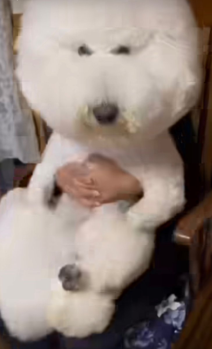 diiphen (@memorythey) on Twitter photo 