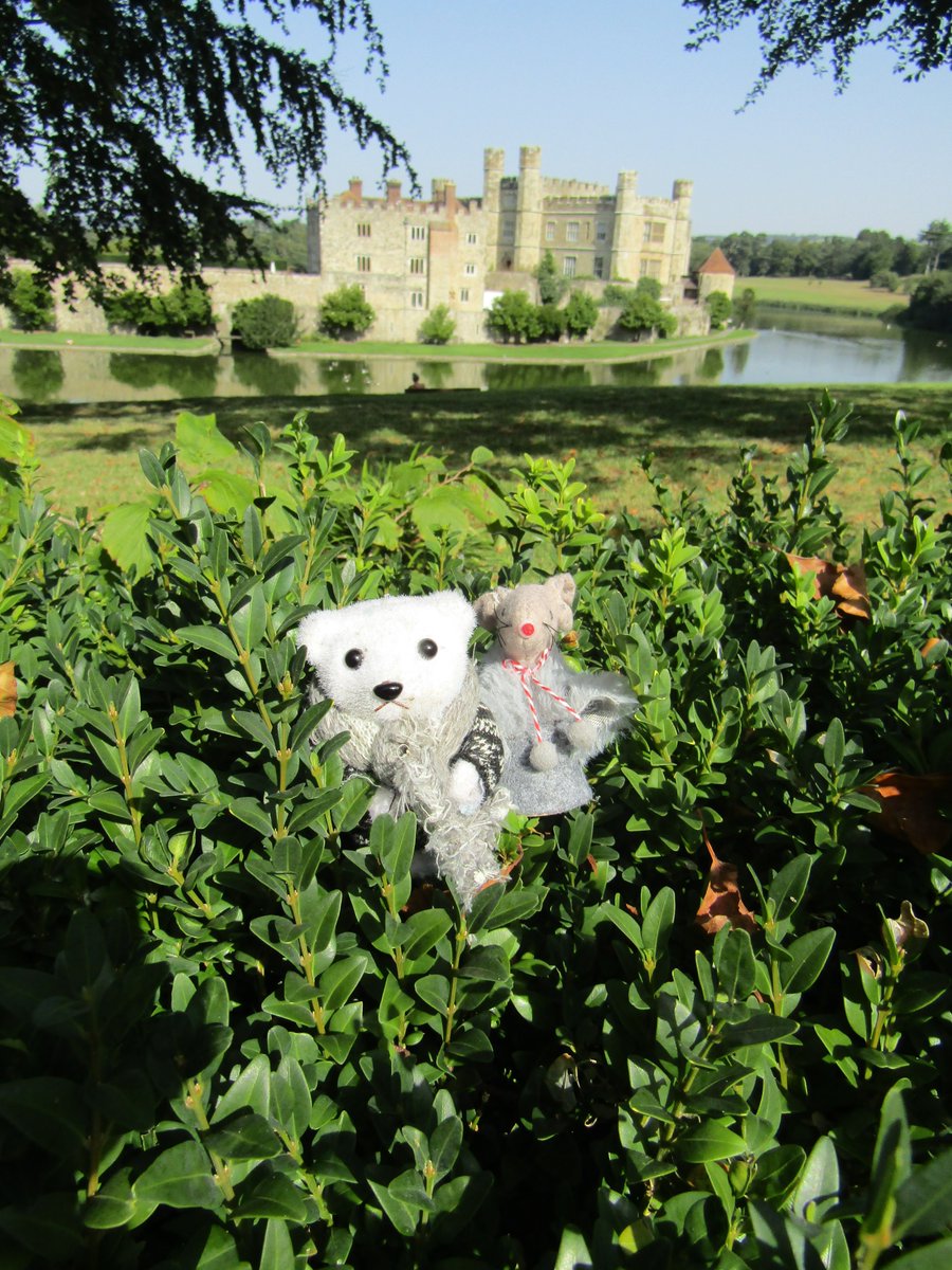 3/5:  Chilly and Mouse then went inside @leedscastle for a photo shoot.