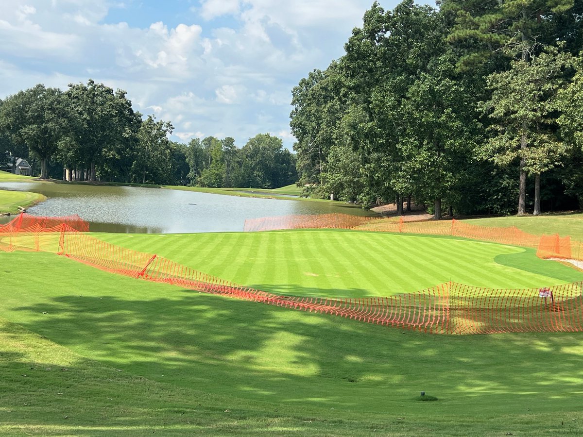 Atlanta Country Club course renovation. 18th green 23 days after seeding 007XL bentgrass on this green.