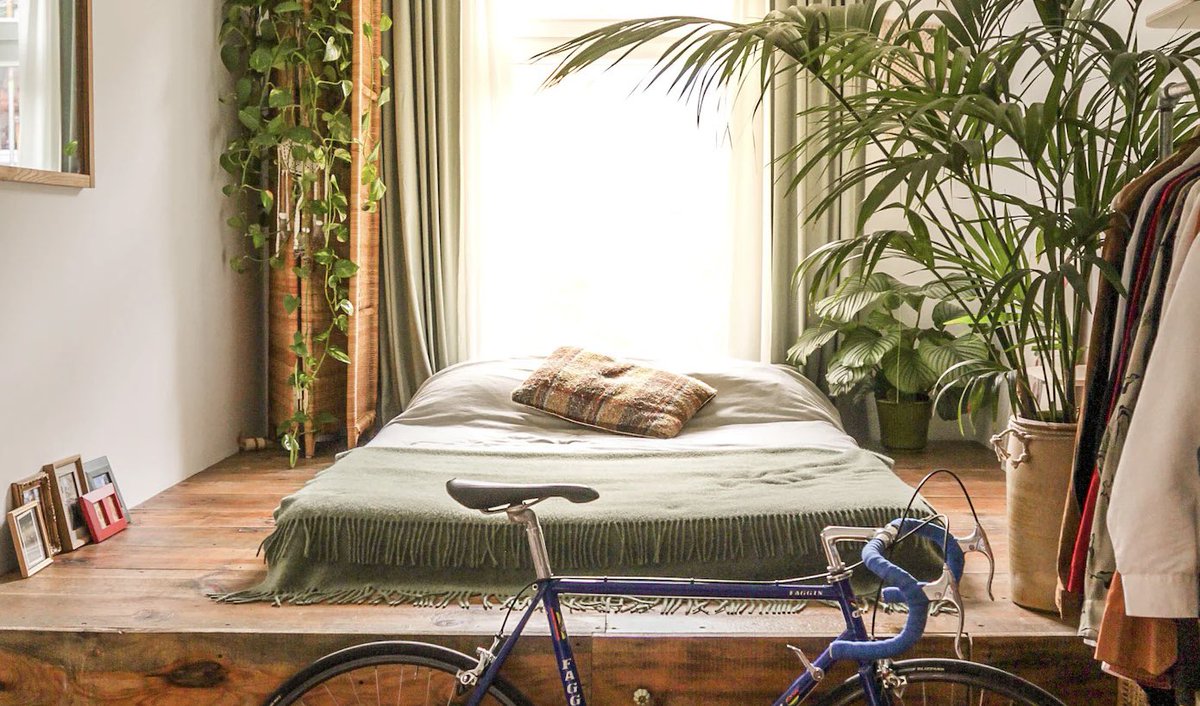 looksugar's tweet photo. Plants can contribute positively to the ambiance and air quality of bedrooms. Here are five of the best plants for bedrooms and the reasons why they’re recommended:

1.Snake Plant (Sansevieria): 
It’s known to purify the air by removing toxins such as formaldehyde, benzene, and nitrogen oxides. Interestingly, unlike most plants, the snake plant releases oxygen at night, which can improve air quality in the bedroom during sleeping hours.

2.Lavender: 
Lavender is renowned for its soothing and calming properties. Its scent has been shown to slow down heart rate, lower blood pressure, and reduce stress, potentially promoting better sleep.

3.Spider Plant (Chlorophytum comosum): 
It’s a powerhouse when it comes to air purification. Spider plants are effective at removing pollutants like formaldehyde and xylene, which can contribute to a healthier sleeping environment.

4.Peace Lily (Spathiphyllum):
This plant is not only beautiful but also a great air purifier. It can help reduce the levels of mold spores in the home by absorbing them through its leaves and roots, which can be beneficial for those with allergies or respiratory issues.

5.Aloe Vera:
Like the snake plant, aloe vera releases oxygen during the night, improving air quality as you sleep. It also has the added benefit of being a natural remedy for cuts and burns.

Remember to ensure proper care for each plant, and if you have pets, it’s important to verify that your chosen plants aren’t toxic to them.

#BedroomPlants #SleepAid #NaturalAirPurifiers #PlantLovers #GreenBedroom #SleepWellness #IndoorGardening #EcoFriendlyDecor #CleanAirPlants #RestfulSpaces