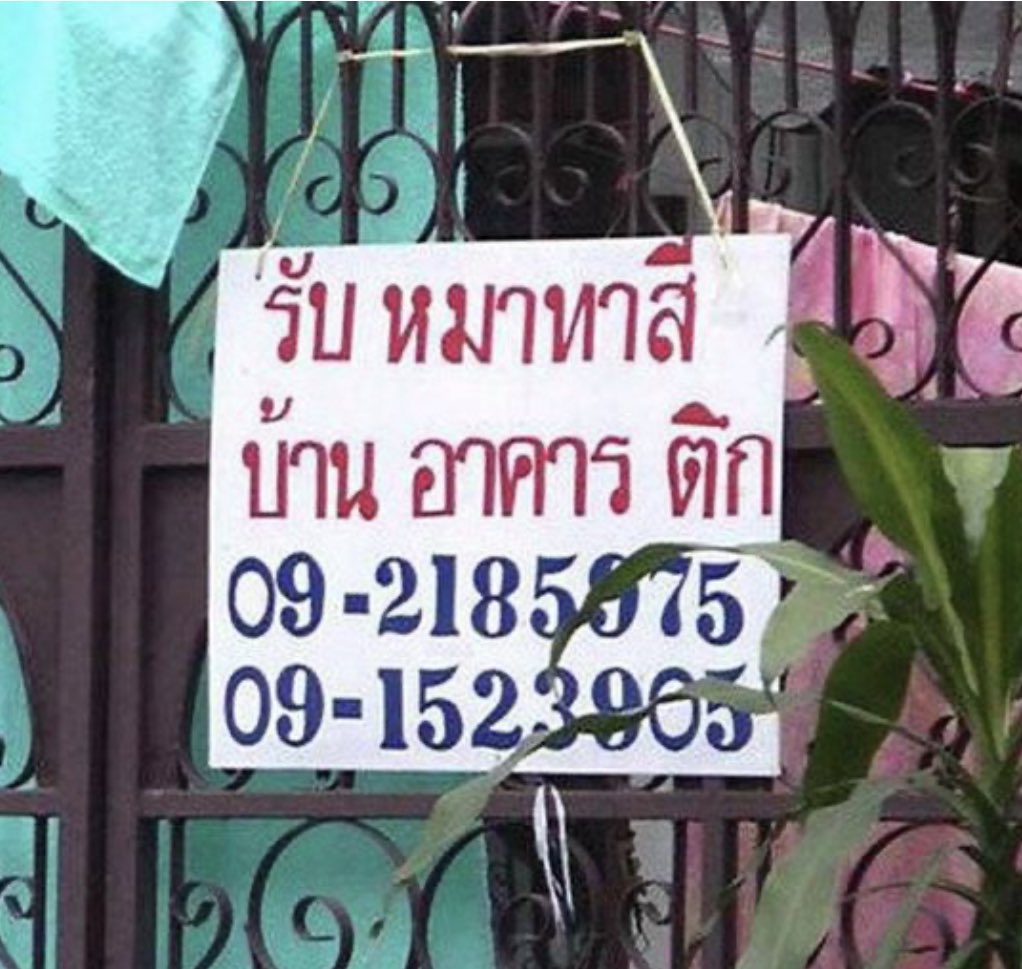 IIdinnnnnn's tweet photo. หมาเดี๋ยวนี้เก่งเกินนนน https://t.co/nk6UxbDPXy