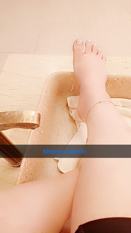 MistressNermin5's tweet photo. بكره اخر يوم عرض تعو ياكلابي بكرة عاملتلكم عرض 🔥 اي كلب بحجز سيشن واقع ب 50 فل سيشن كامل ومن غير تحويل واي كلب بدو سيشن اونلاين ب 30 يلا استغلوا العرض ولا تفوتوا الفرصه انكم تنالوا شرف مقابلتي ياكلاب بكره  اخر يوم عرض الكل  يعمل ريتويت ل اول تغريدة عندي  المثبته على الصفحه https://t.co/DKGd71Zpgf