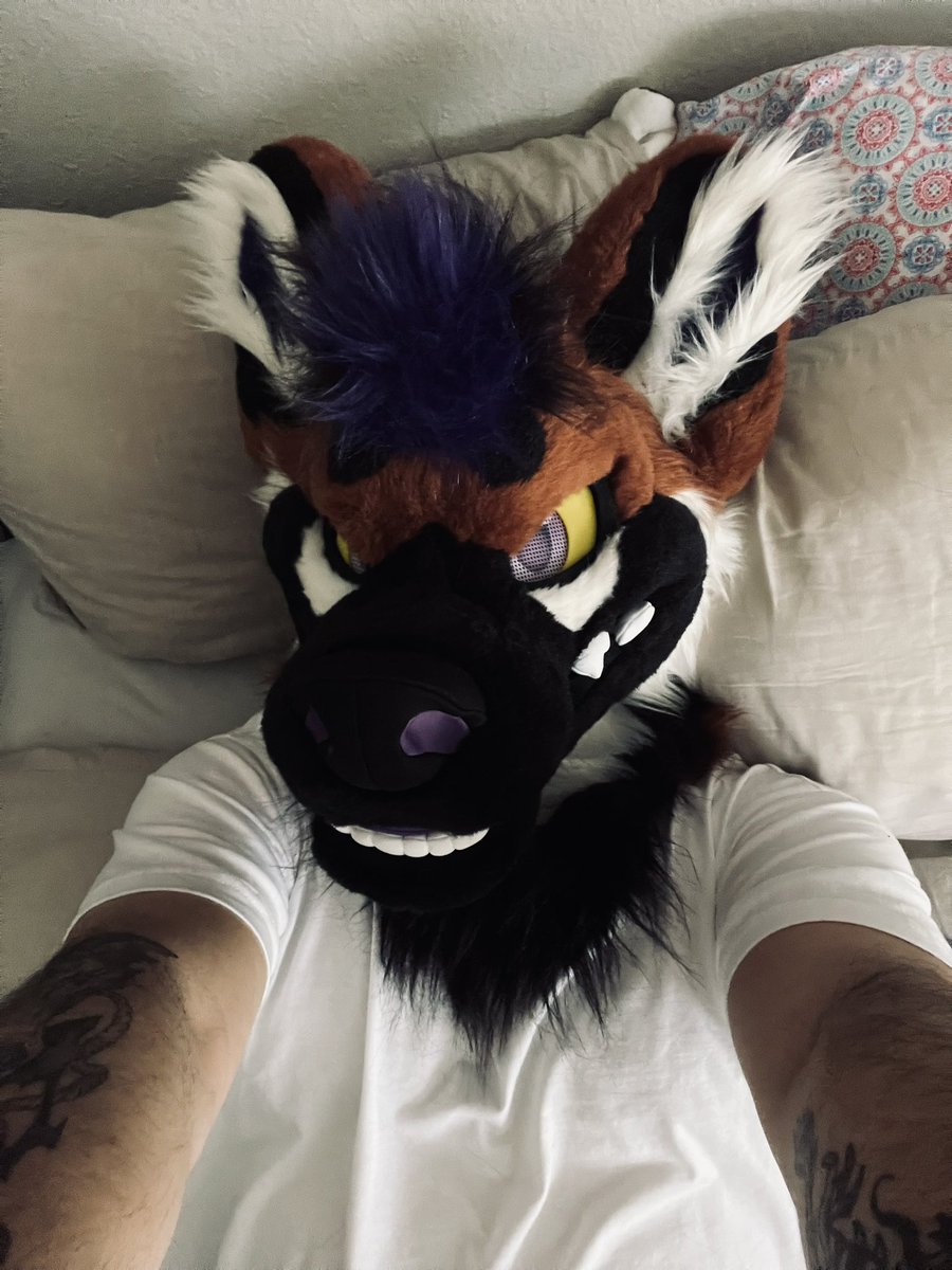 maw munch 🗡️ @ FE 🇨🇦 tweet media