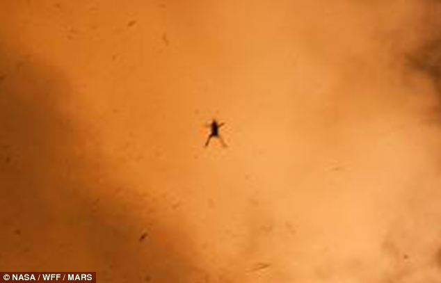 The poor frog that was flung into the air and captured by a NASA camera during the LADEE shuttle launch in Virginia on September 6, 2013