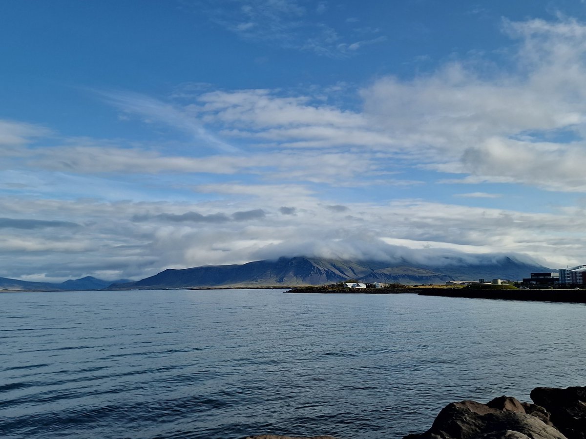 Jane Callaghan 🌈 🏴󠁧󠁢󠁳󠁣󠁴󠁿🐶🐱🥾🧶 tweet media