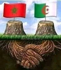 NN70185149's tweet photo. لا يسعنا الا ان نتضرع الى الله سبحانه وتعالى بالدعاء اللهم ارحم الموتى وتقبلهم في الشهداء وشافي الجرحى واجبر كسرهم  ياااااااربلطفك بأهلنا واشقائنا هناك في المغرب والله يا خاوتي اول ماسمعت هذا الخبر وكأنه في بلديالعزيز الجزائر اللهم لطفك بأشقائنا هناك  واحفظ بلادنا وألف بين قلوبنا https://t.co/NP5H8LQi64