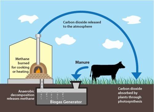 What is the Growth of #Biogas in your #Country?
Is your #Government interested in it?
Can it contribute greatly to #GreenEconomy
Are you proud of the #Growth?
Do we really need more #Youth?
What's your Take?
<a href="/OlumideIDOWU/">Mr. Climate</a>
<a href="/sumuelahi/">Sumu Elahi</a>
<a href="/GreenongreenO/">Ocharan_GreenOnGreen</a>
<a href="/Bolagarbage/">Adebola-Sobanjo Santos</a>
<a href="/sharon_ikeazor/">Sharon Ikeazor</a>