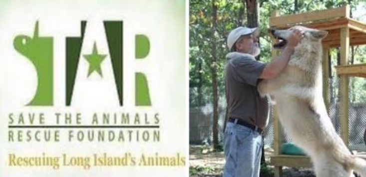 STAR_Fdn's tweet image. Learn all about STAR Foundation with this informative podcast.
l.facebook.com/l.php?u=https%…