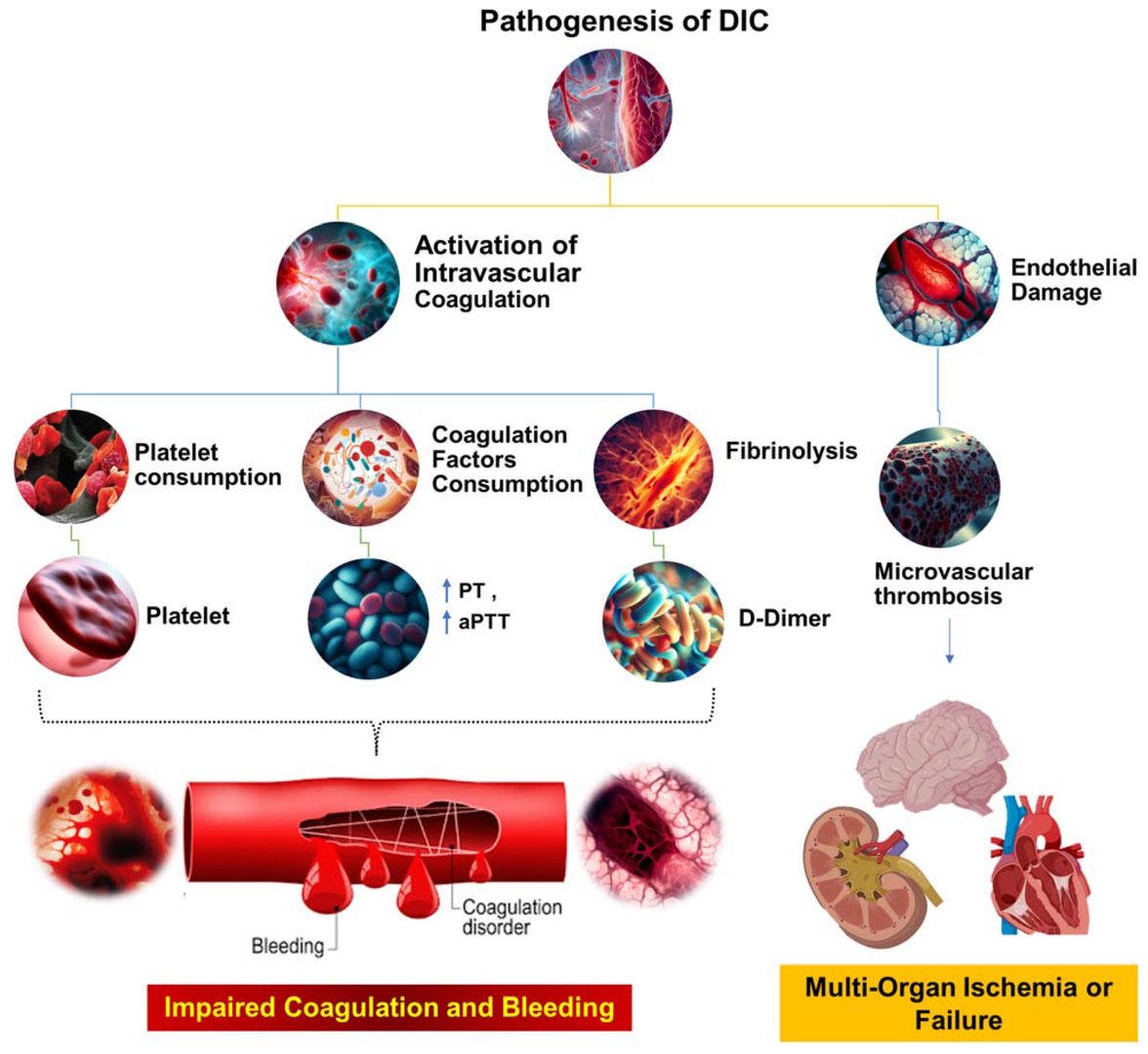 CritCareReviews's tweet photo. Pathophysiology of Disseminated Intravascular Coagulation in Sepsis

CCR Journal Watch
https://t.co/Sp06oA6IDG

Get the latest critical care literature every weekend via the CCR Newsletter - subscribe at https://t.co/nitMzacLrj https://t.co/YopfKPUC8N