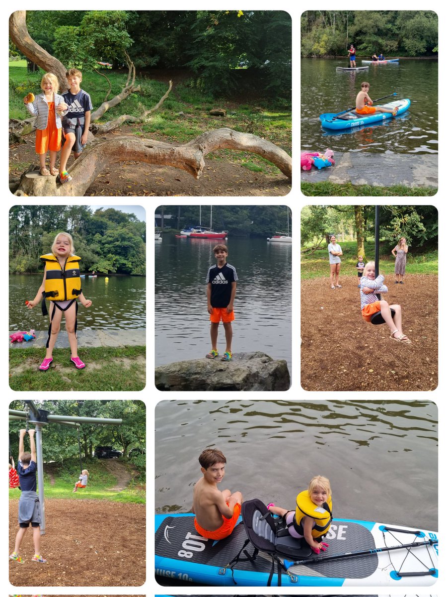 Vicky Shimwell tweet media