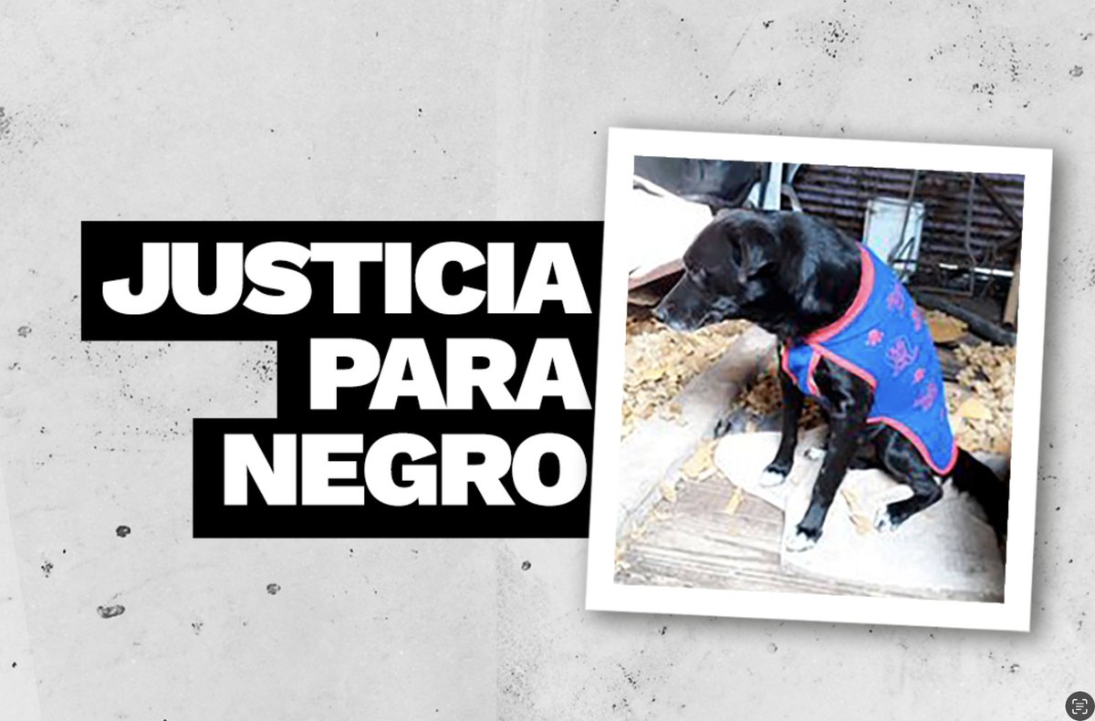 cascoteupm's tweet photo. Por favor, Dr.@ppmarcote, le pido que el martes 12 haya #JusticiaParaNegro Muchas gracias. https://t.co/hIhOqufi0R
