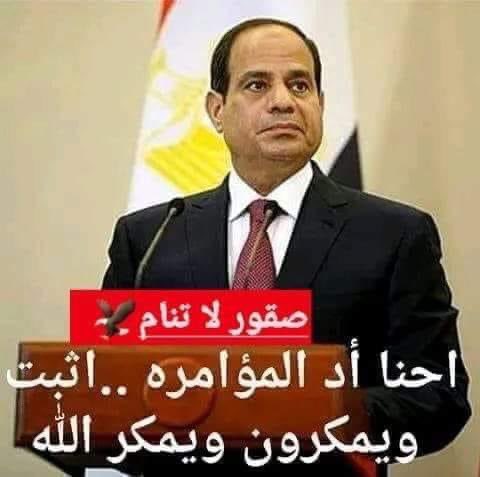 كريم🇪🇬المصري tweet media